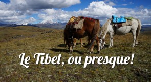 A cheval dans les plaines tibétaines