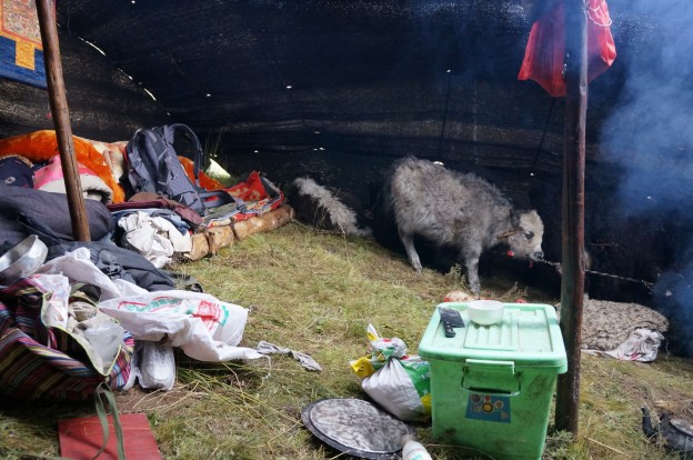 intérieur tente nomade